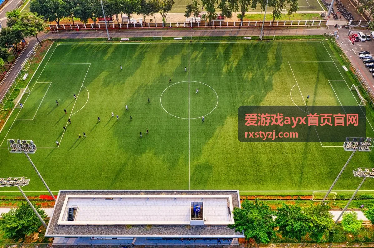 爱游戏ayx首页官网客户端帮助与反馈入口的异常登录处理流程